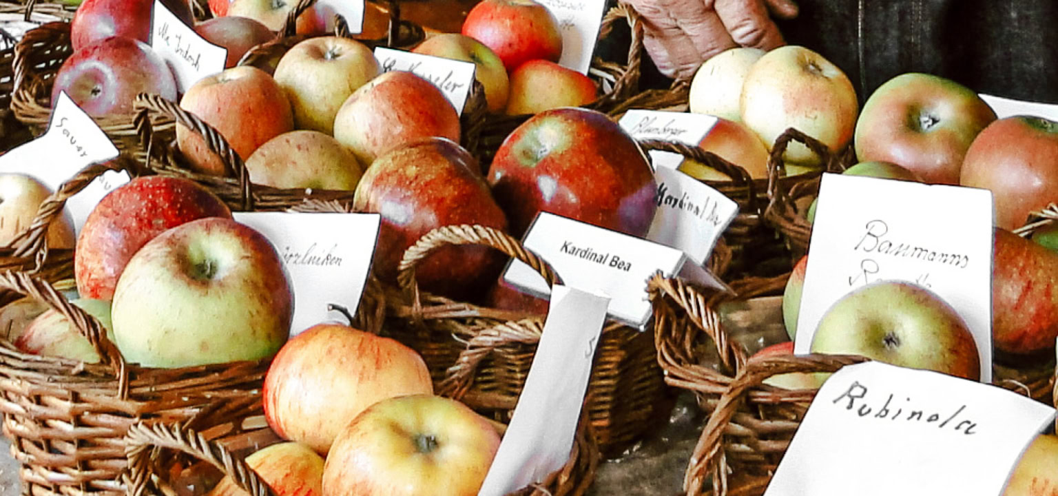 Herbstfest in den Pfahlbauten